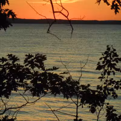 Wilcox-Palmer-Shah Preserve - Elk Rapids,