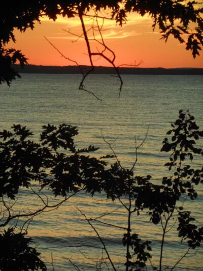 Wilcox-Palmer-Shah Preserve - Elk Rapids,