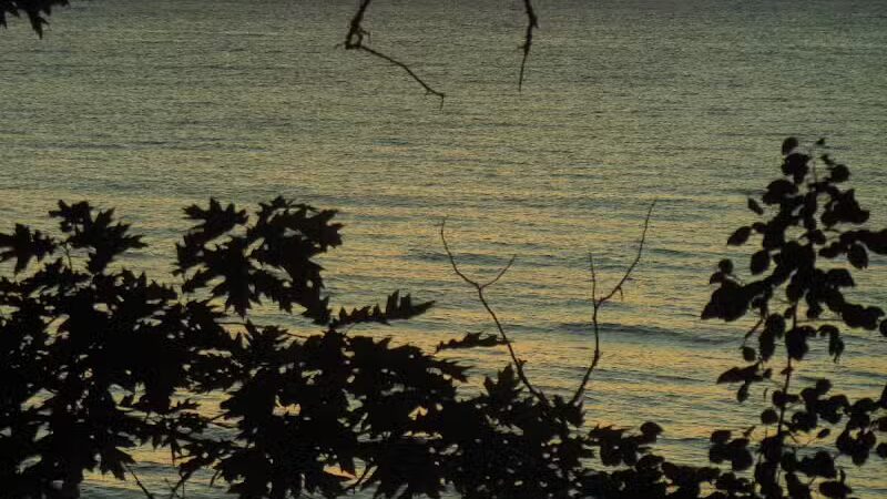 Wilcox-Palmer-Shah Preserve - Elk Rapids,