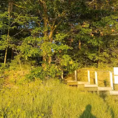 Wilcox-Palmer-Shah Preserve - Elk Rapids,