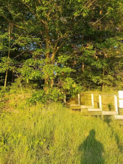 Wilcox-Palmer-Shah Preserve - Elk Rapids,