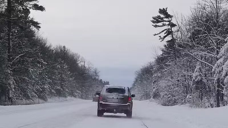 Wilcox-Palmer-Shah Preserve - Elk Rapids,