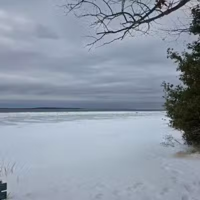 Wilcox-Palmer-Shah Preserve - Elk Rapids,