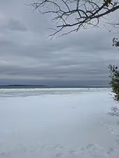 Wilcox-Palmer-Shah Preserve - Elk Rapids,
