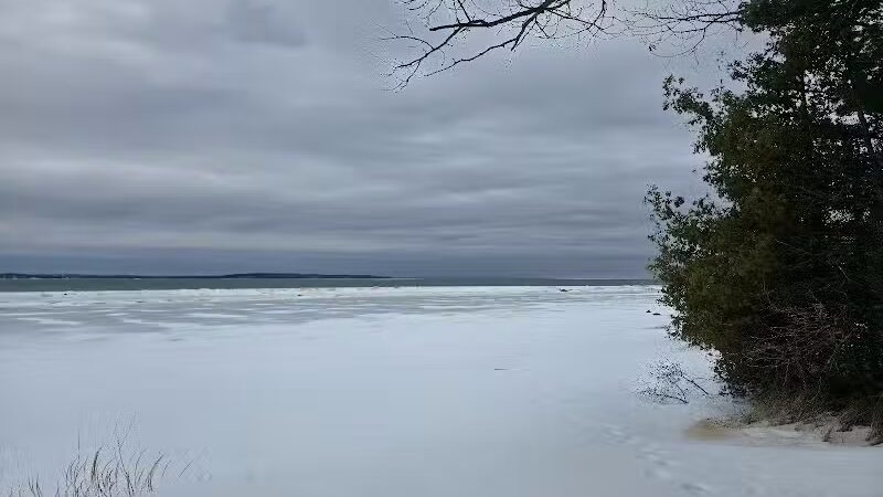 Wilcox-Palmer-Shah Preserve - Elk Rapids,