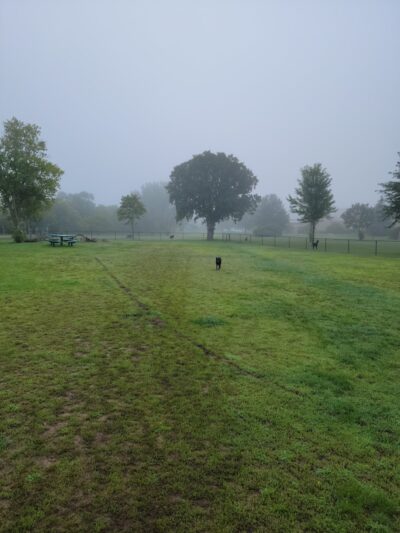 Orono Park Dog Park - Elk River, MN