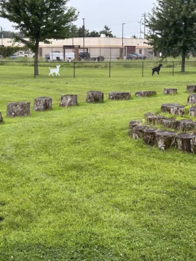 Orono Park Dog Park - Elk River, MN
