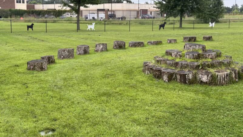 Orono Park Dog Park - Elk River, MN