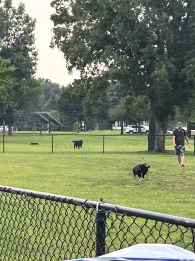 Orono Park Dog Park - Elk River, MN