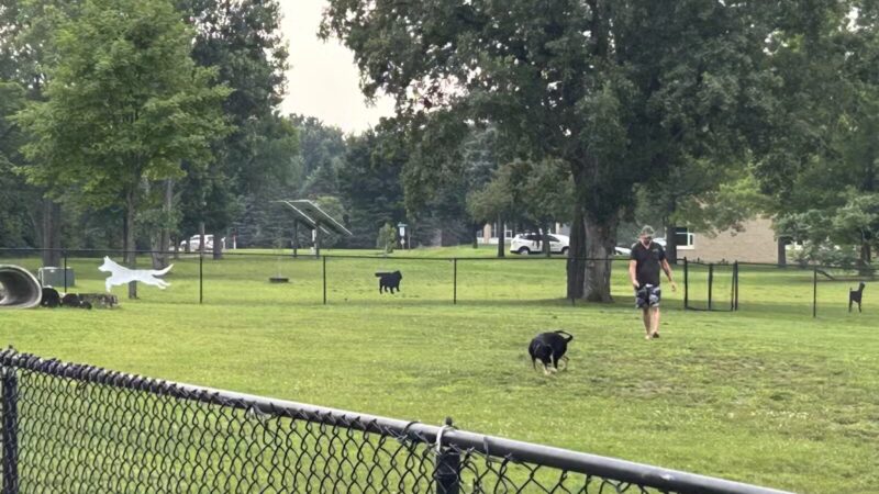 Orono Park Dog Park - Elk River, MN