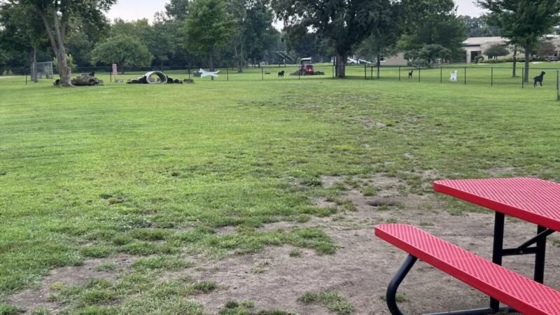Orono Park Dog Park - Elk River, MN