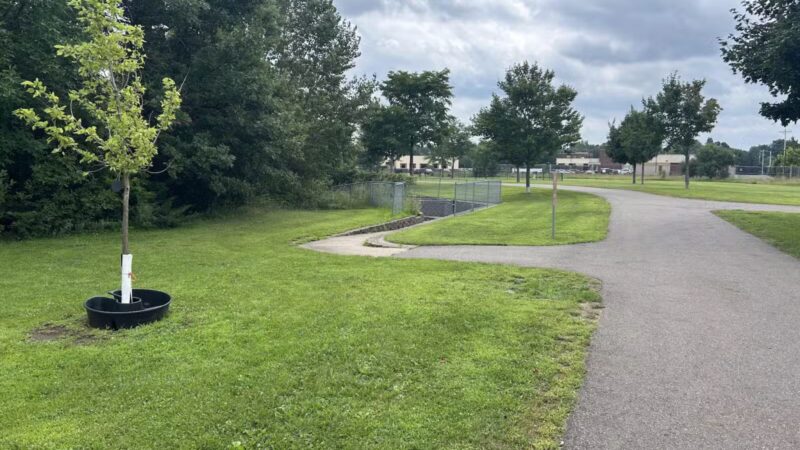 Orono Park Dog Park - Elk River, MN