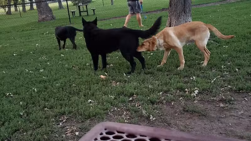 Otsego Dog Park - Elk River,