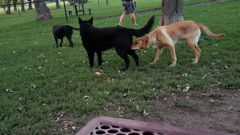 Otsego Dog Park - Elk River,
