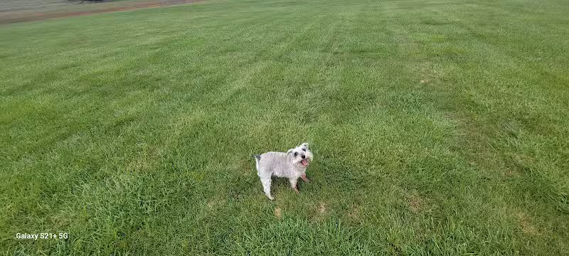 Otsego Dog Park - Elk River,