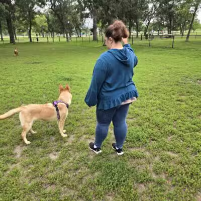 Otsego Dog Park - Elk River,