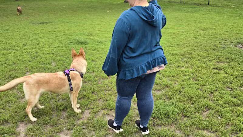 Otsego Dog Park - Elk River,