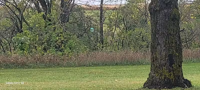 Otsego Dog Park - Elk River,