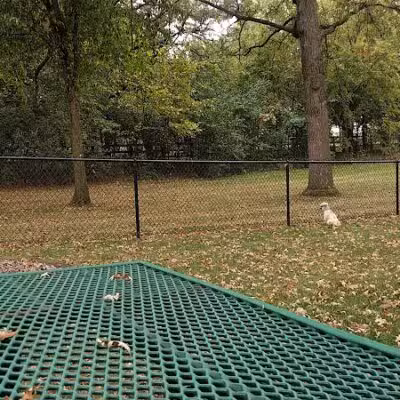 Otsego Dog Park - Elk River,