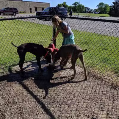 Otsego Dog Park - Elk River,
