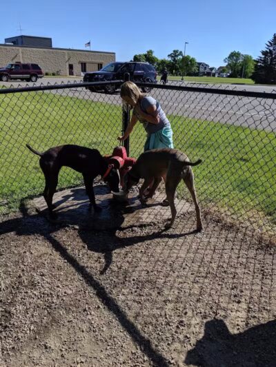 Otsego Dog Park - Elk River,