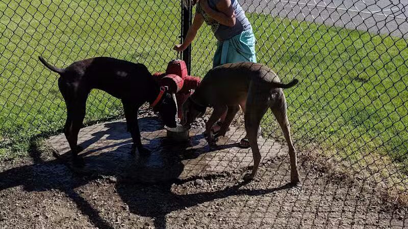 Otsego Dog Park - Elk River,