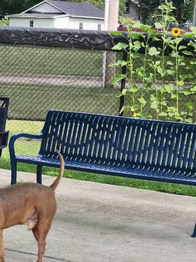 Dr. Frank Booth Dog Park - Elkhart,