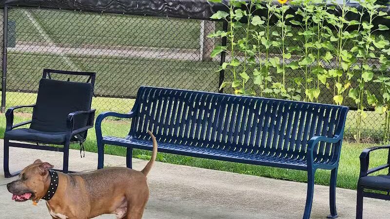 Dr. Frank Booth Dog Park - Elkhart,