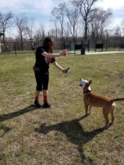 Dr. Frank Booth Dog Park - Elkhart,