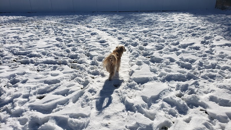 Elko Dog Park! - Elko, NV