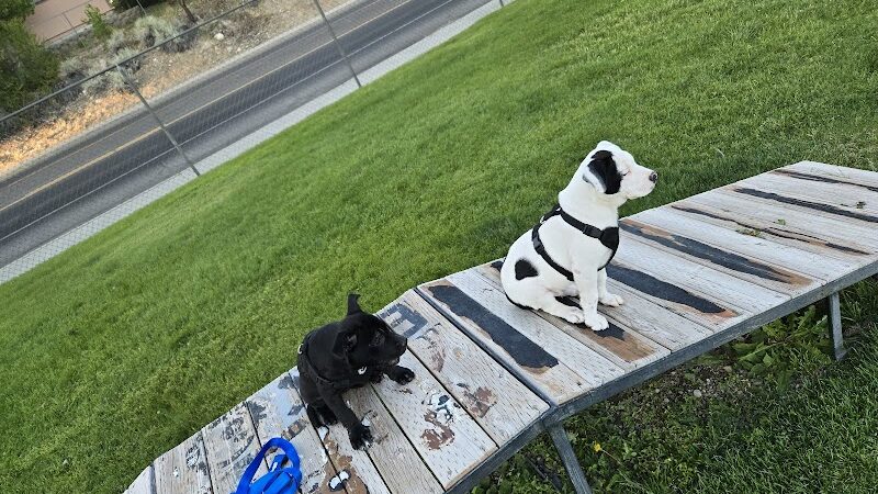 Elko Dog Park! - Elko, NV