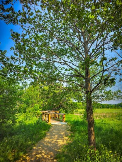 Doyle-Kennefick Regional Park - Elko New Market, MN