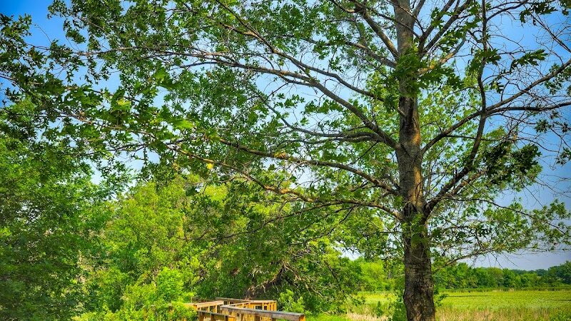 Doyle-Kennefick Regional Park - Elko New Market, MN