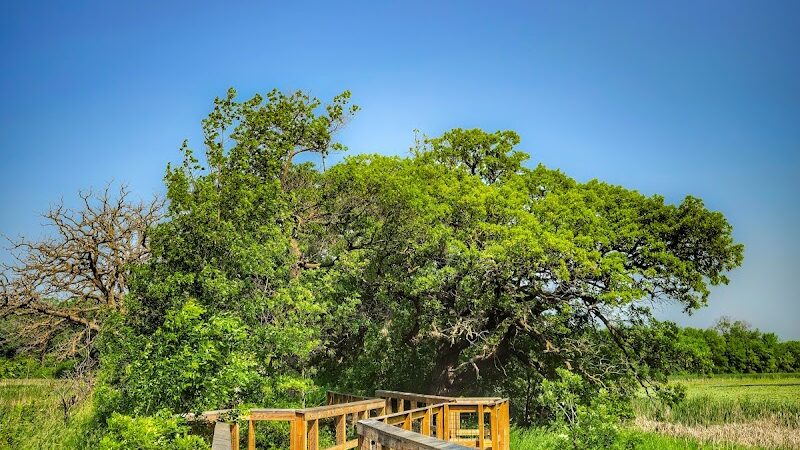 Doyle-Kennefick Regional Park - Elko New Market, MN