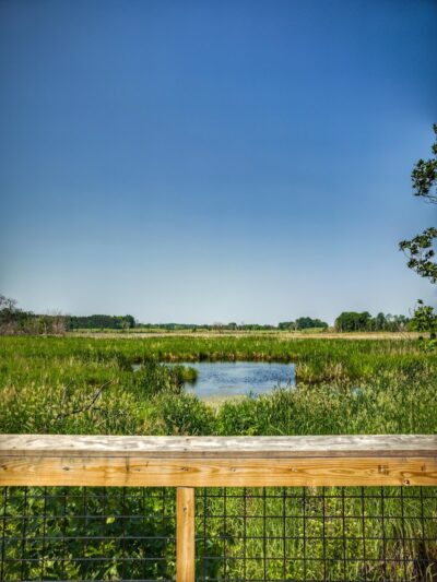 Doyle-Kennefick Regional Park - Elko New Market, MN