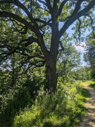 Doyle-Kennefick Regional Park - Elko New Market, MN