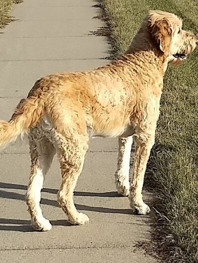 Wagner Park - Elko New Market, MN