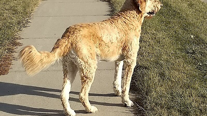 Wagner Park - Elko New Market, MN