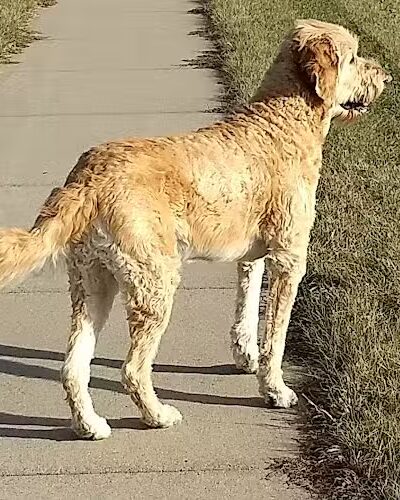 Wagner Park - Elko New Market, MN