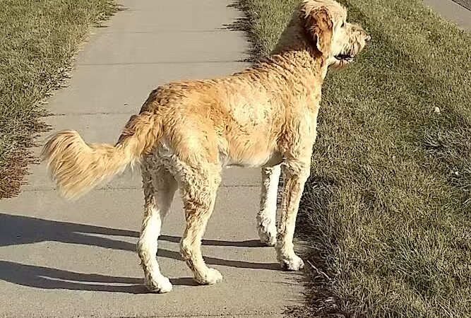 Wagner Park - Elko New Market, MN