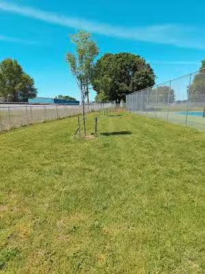 Elkton Dog Park at Stonewall Memorial Park - Elkton, VA