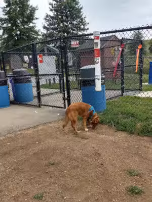 Worthington Off Leash Dog Park - Ellicott City, MD