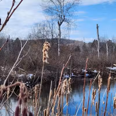 Ellsworth Community Park - Ellsworth,