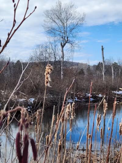 Ellsworth Community Park - Ellsworth,