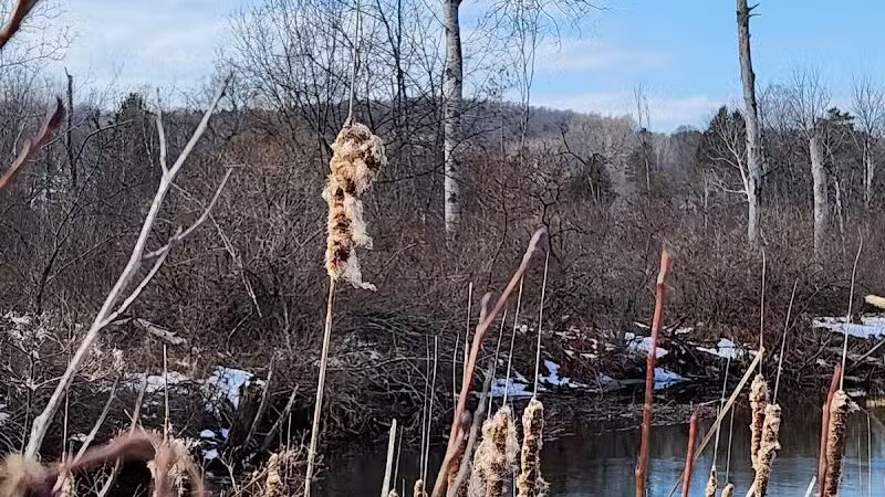 Ellsworth Community Park - Ellsworth,