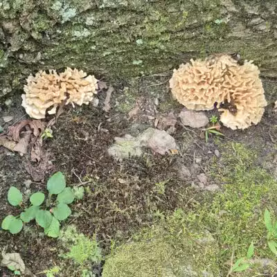 French Creek State Park - Elverson, PA