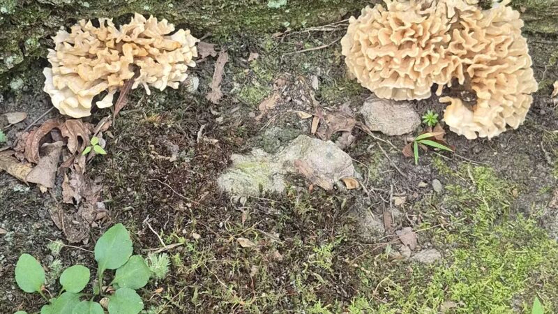 French Creek State Park - Elverson, PA