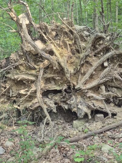 French Creek State Park - Elverson, PA