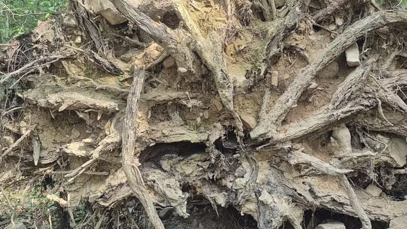 French Creek State Park - Elverson, PA