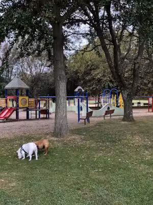 Elwood Park - Elwood, NY